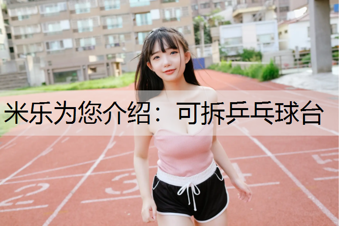 米樂為您介紹：可拆乒乓球臺