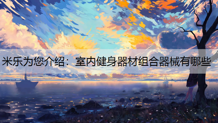 室內健身器材組合器械有哪些