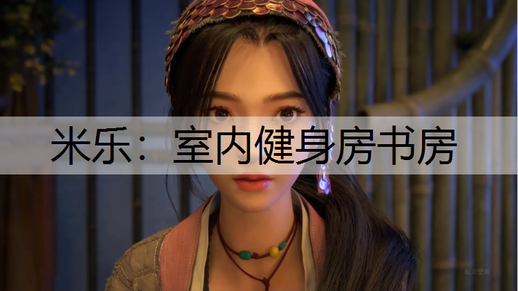 室內健身房書房