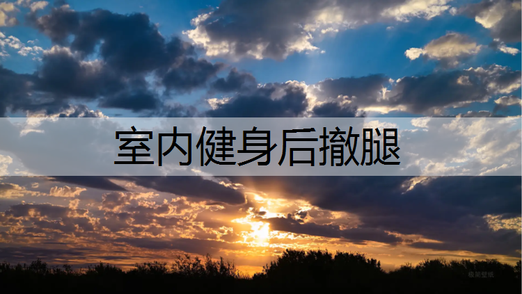 室內健身后撤腿