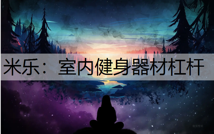 室內健身器材杠桿